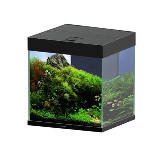 Ciano EN Pro 40 Black Aquarium 52L - Watermarque | Aquatic Superstore